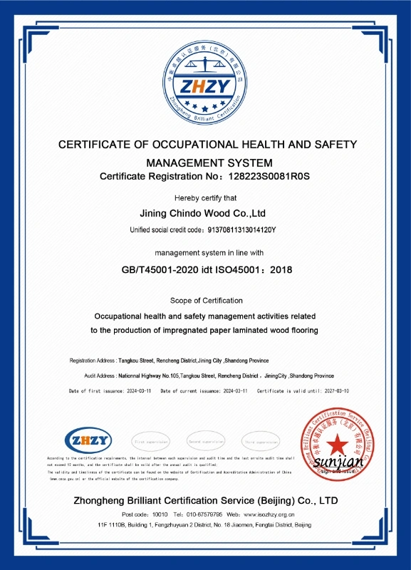 ISO45001